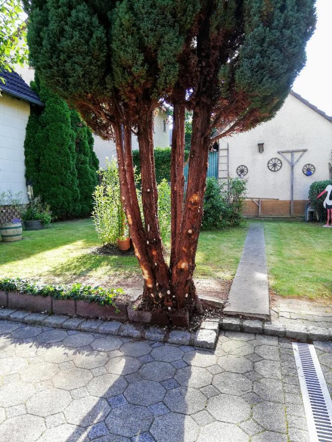 Ferienappartement Obrigheim موسباخ المظهر الخارجي الصورة
