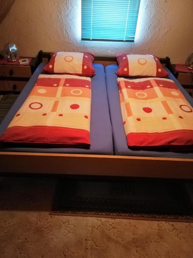 Ferienappartement Obrigheim موسباخ المظهر الخارجي الصورة