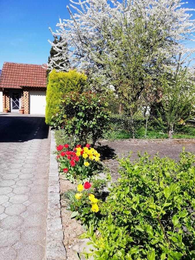 Ferienappartement Obrigheim موسباخ المظهر الخارجي الصورة